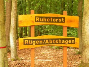 Ruheforst-eroffnung-rugen-abtshagen-22-06-09-001-300x225 in 